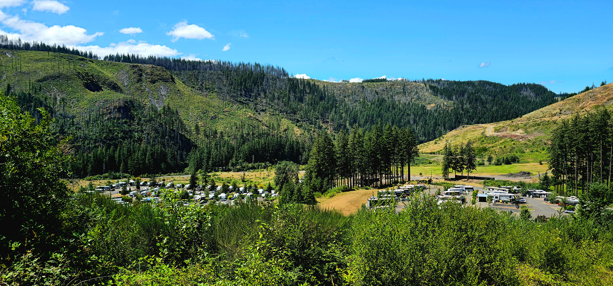 Aerial view of Clackamas River RV Park nestled among forested hills